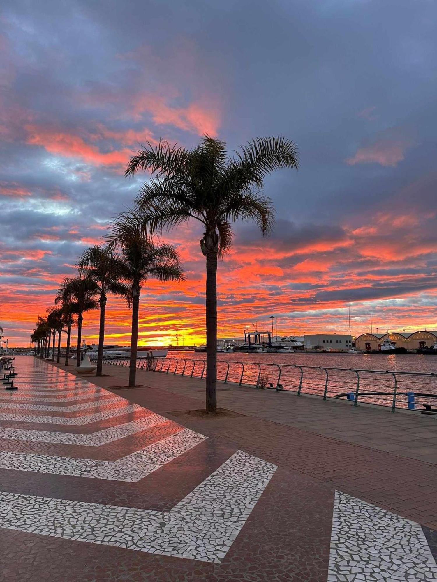 Apartament Ambar Gandia Playa-Grao Con Piscina Parking Ideal Para Familias Eksteriør billede